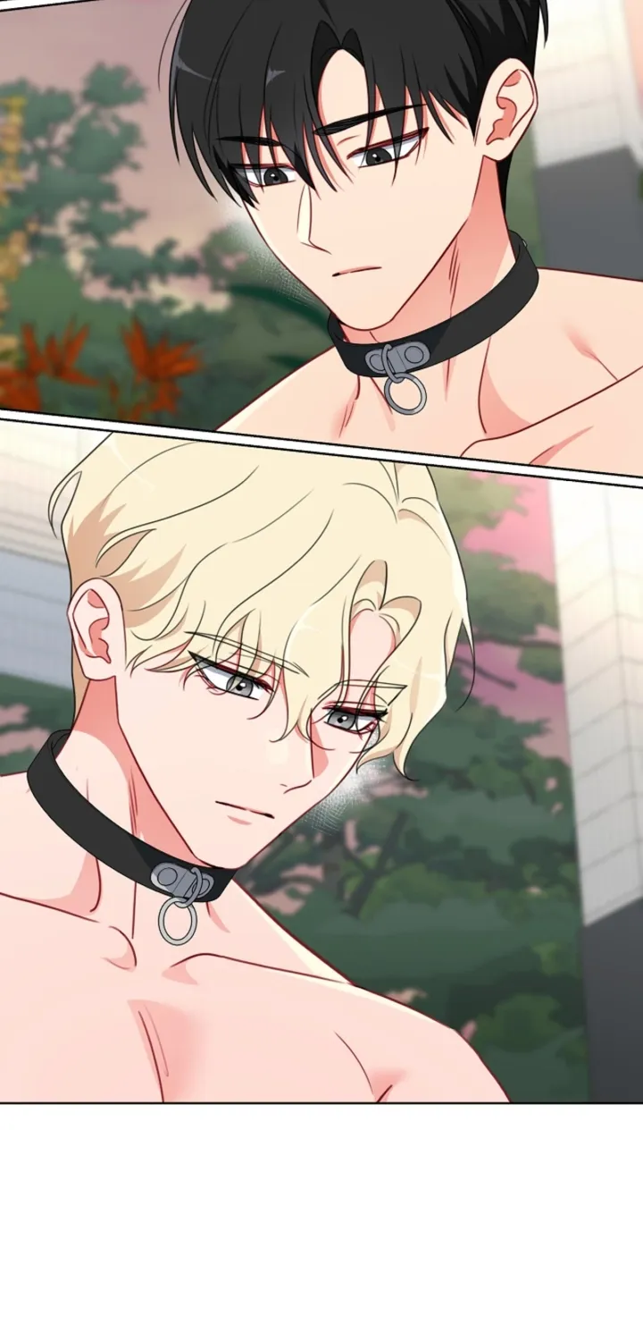 Males In The Breeding Room Chapter 15 - page 29