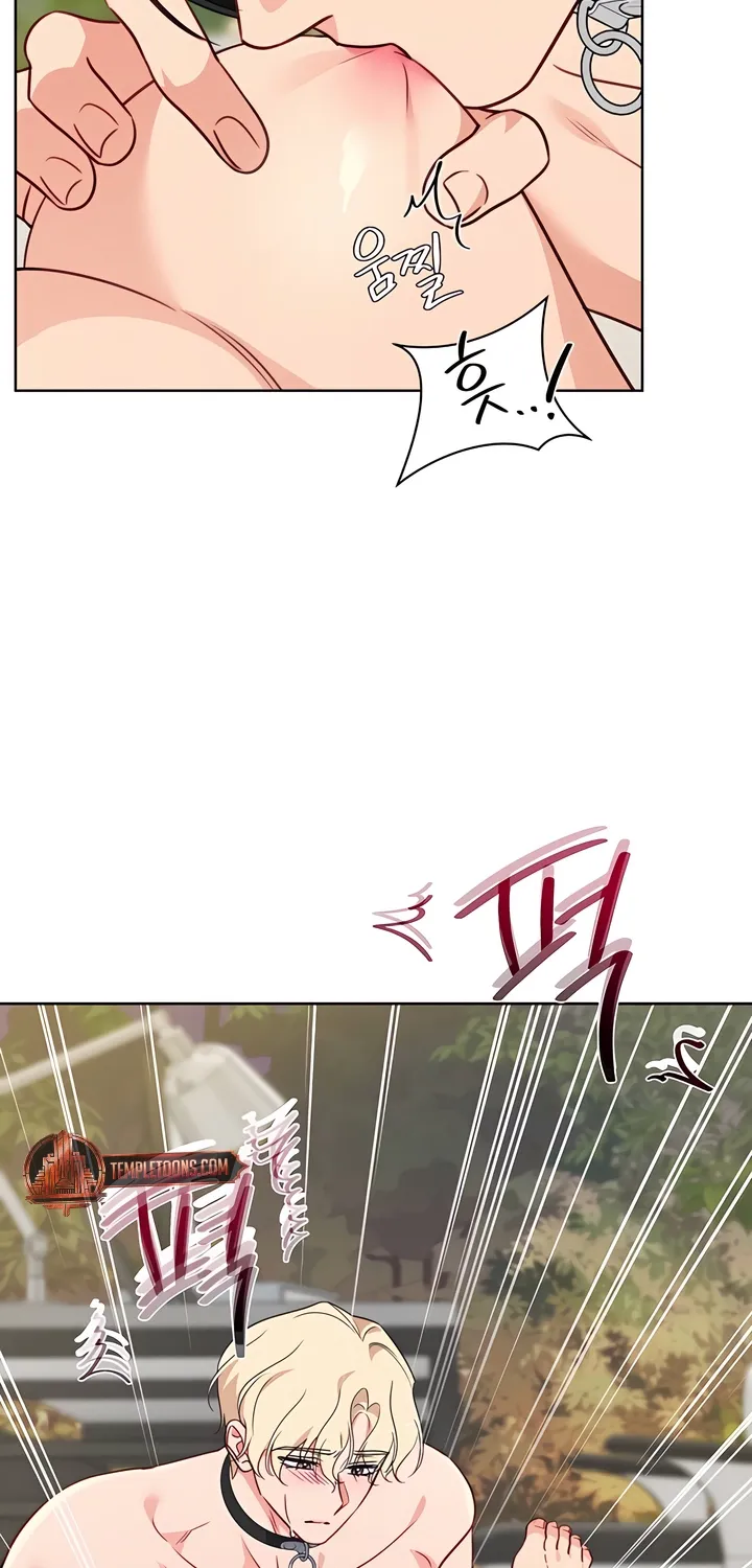 Males In The Breeding Room Chapter 16 - page 6