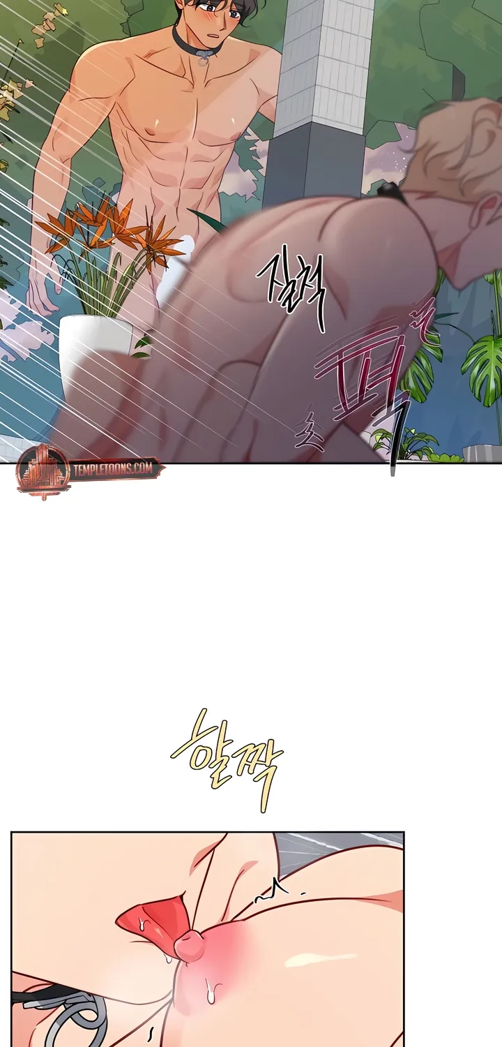 Males In The Breeding Room Chapter 16 - page 9