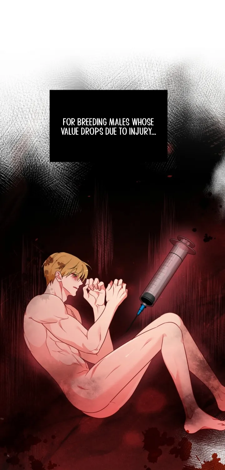 Males In The Breeding Room Chapter 17 - page 46