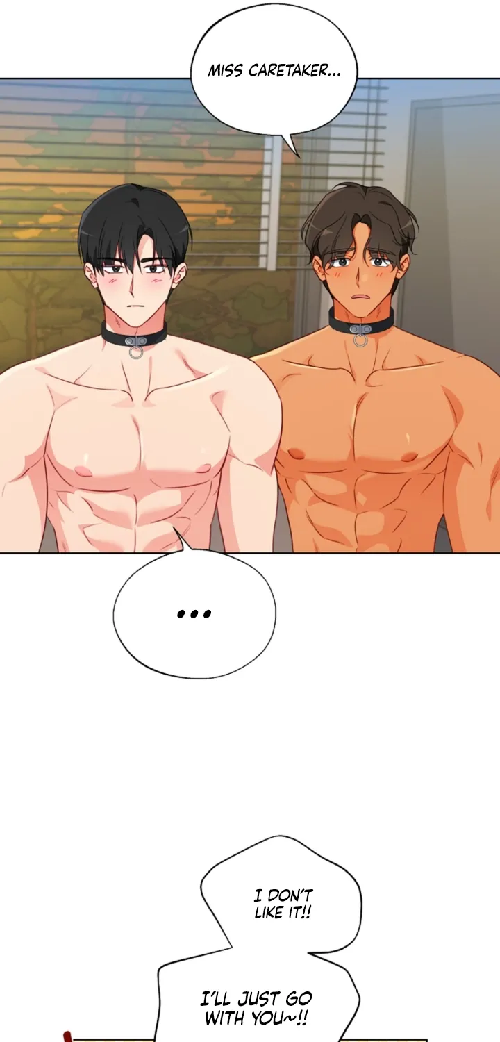 Males In The Breeding Room Chapter 18 - page 11