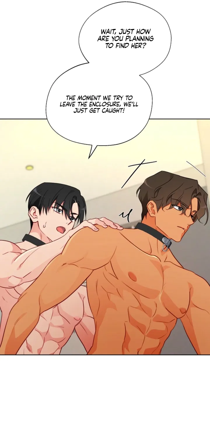 Males In The Breeding Room Chapter 18 - page 43