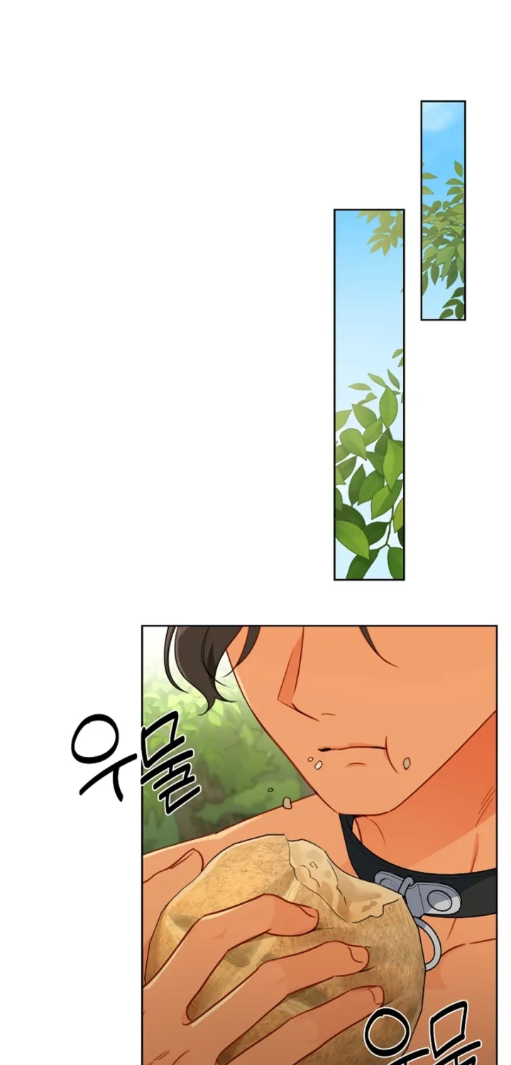 Males In The Breeding Room Chapter 20 - page 46