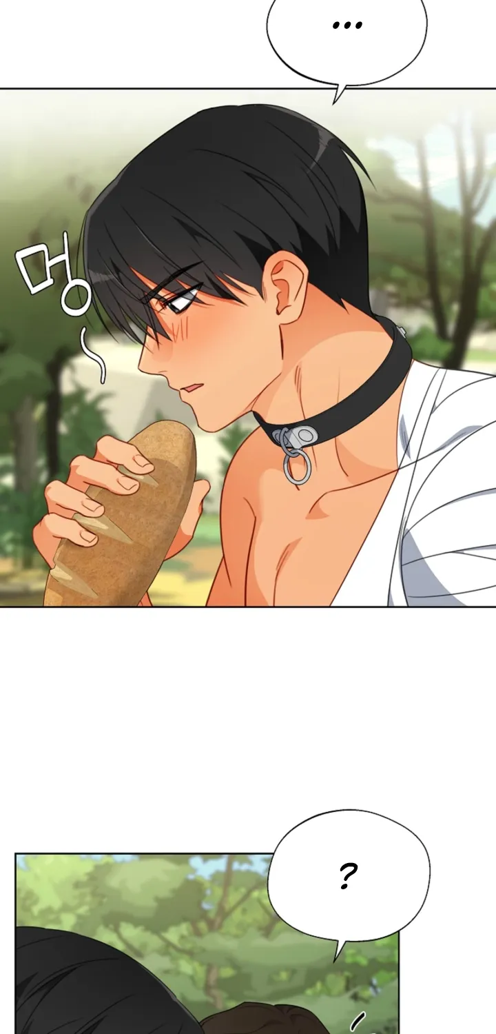 Males In The Breeding Room Chapter 20 - page 48