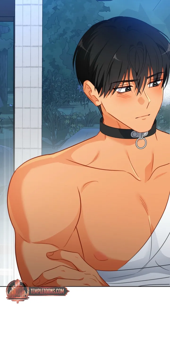 Males In The Breeding Room Chapter 21 - page 15