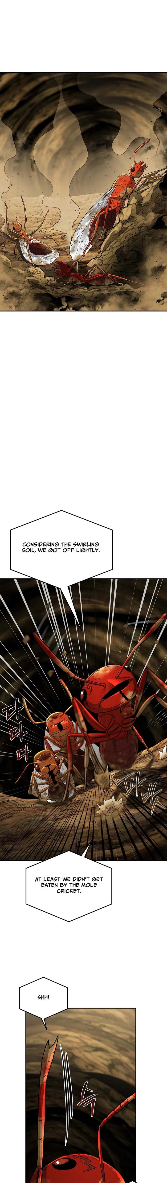 Empire of the Ants Chapter 24 - page 9