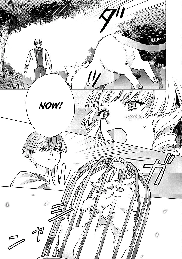 Cecilia-chan Loves the Losing Hero. Chapter 5 - page 21