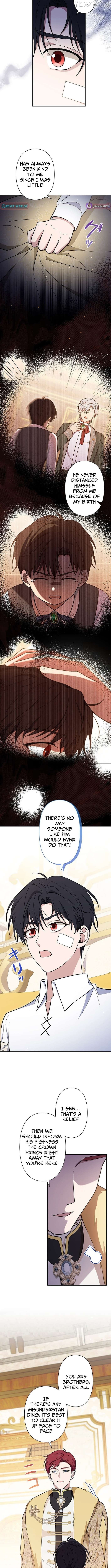 The Enemy King's Substitute Bride Chapter 26 - page 9