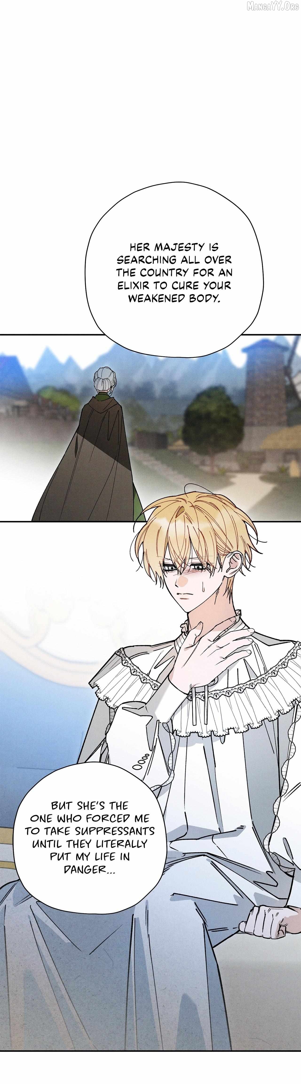 The Rogue Prince Is Secretly an Omega Chapter 93 - page 8