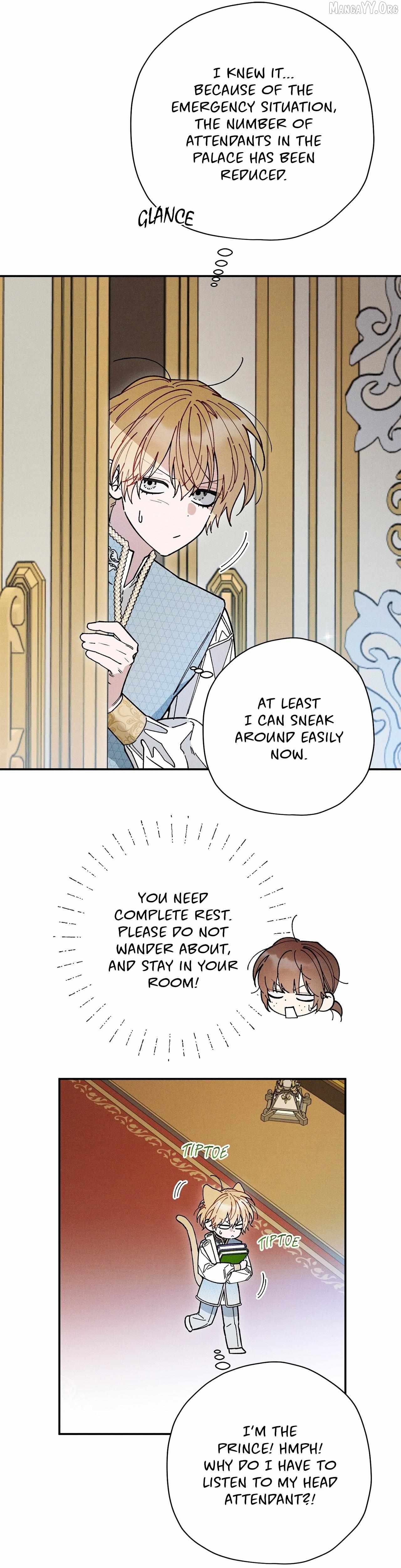 The Rogue Prince Is Secretly an Omega Chapter 94 - page 3