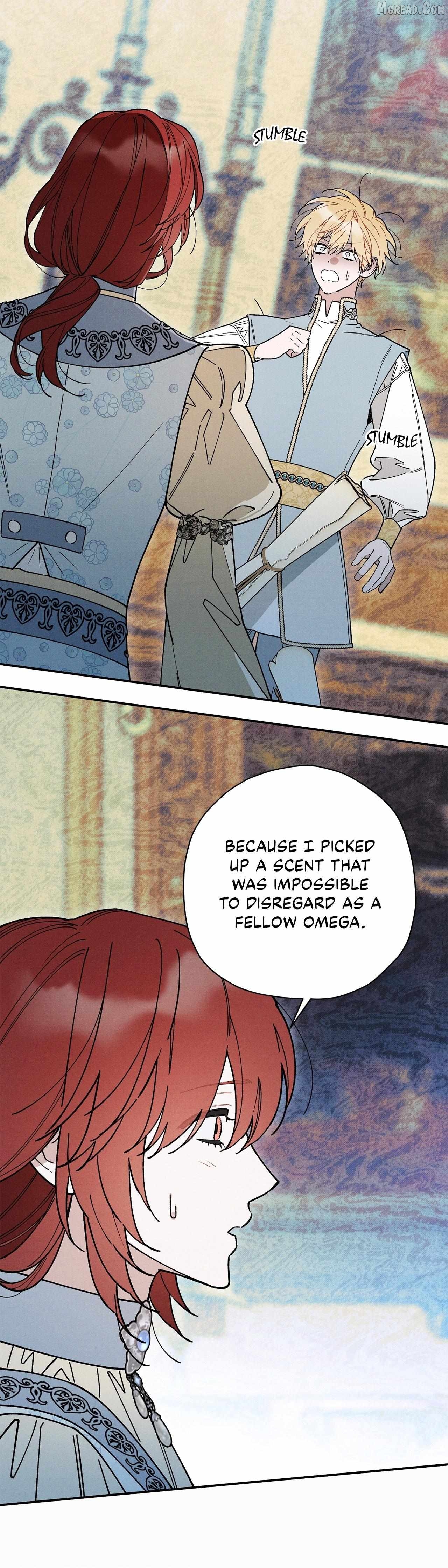 The Rogue Prince Is Secretly an Omega Chapter 95 - page 17