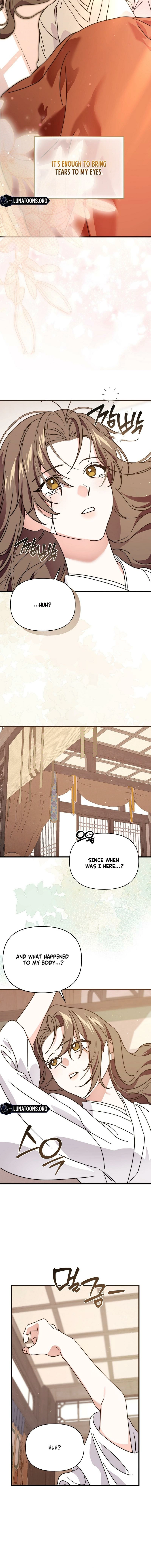 Like Spring Fluttering Across the Snowy Mountains Chapter 20 - page 14