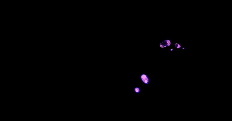 Monarch of Supreme Beings Chapter 47 - page 62