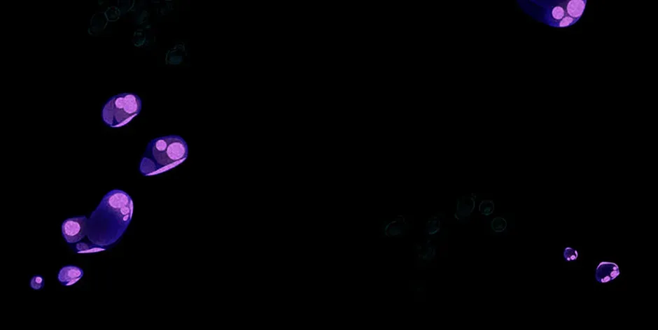 Monarch of Supreme Beings Chapter 47 - page 94