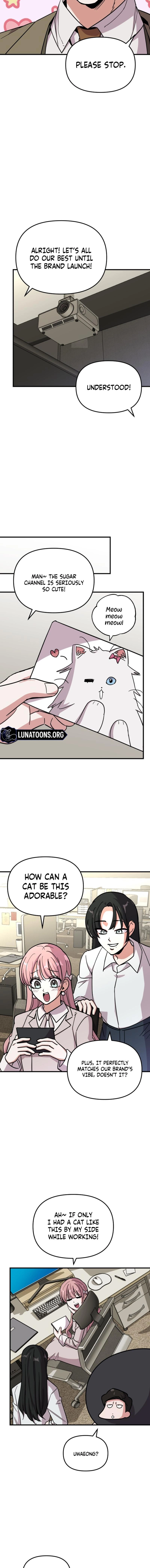 My Boyfriend Is a Cat Chapter 12 - page 5