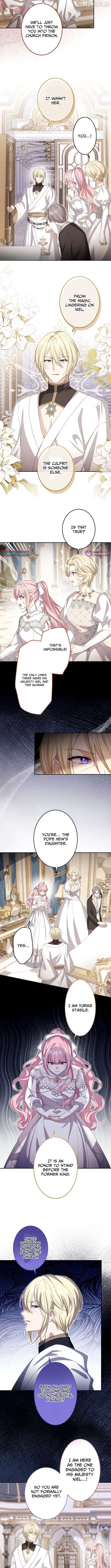 Your Highness, Won't You Try This Tonight? Chapter 27 - page 3