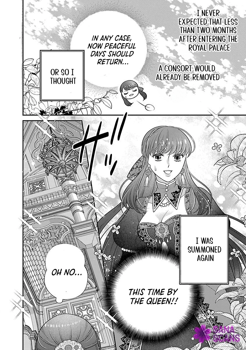I'm a Secondary Consort, So You Don't Have to Love Me — I Just Want a Lazy Life Chapter 2 - page 26