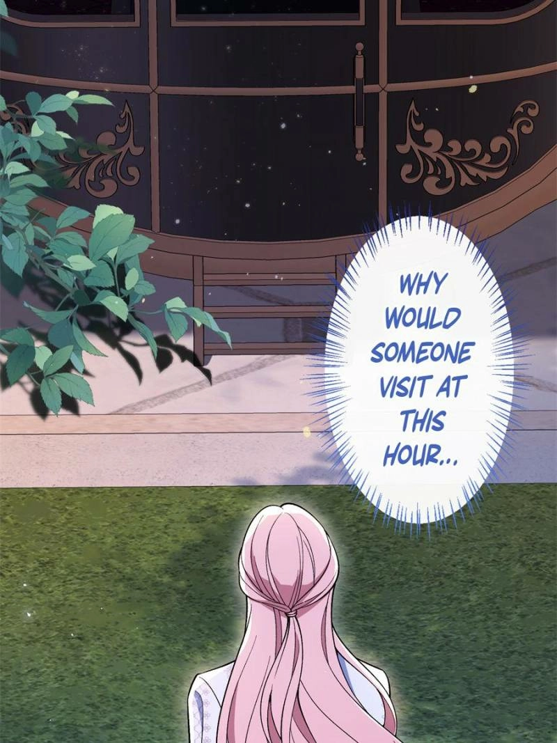 The Duke’s Masked Wife Chapter 44 - page 27