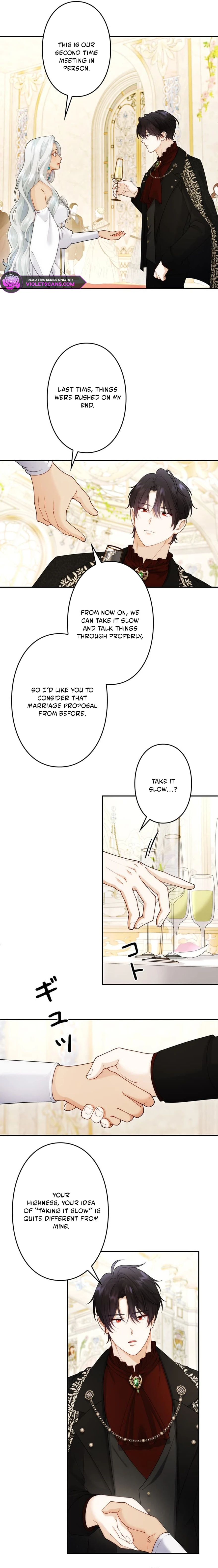 The System Error Princess Chapter 35 - page 3