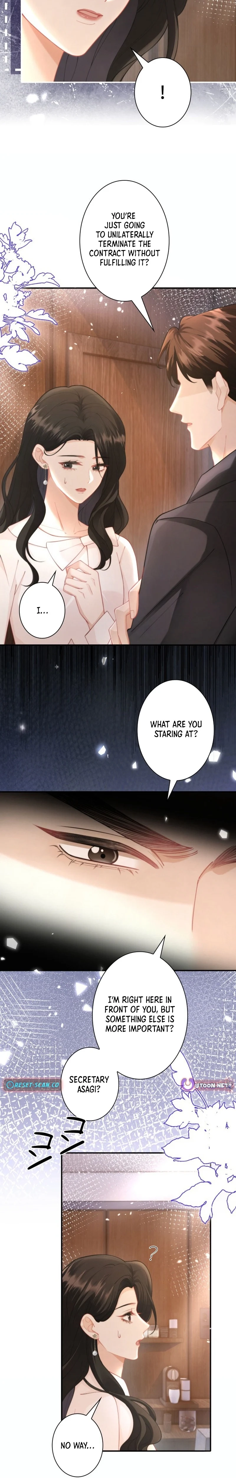 My Contract Lover Boss Is Doting on Me Chapter 18 - page 3