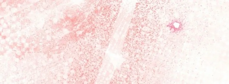 Diary of a Dine-and-dash Criminal XX Chapter 8 - page 36