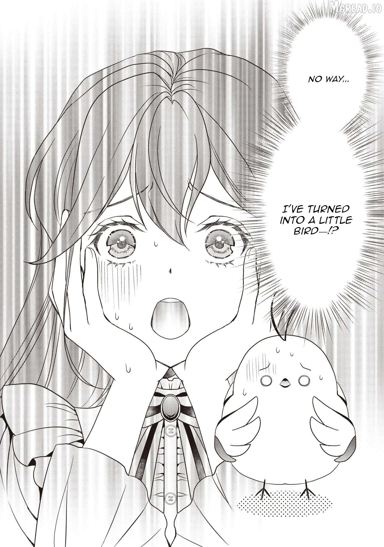 I Was Taken In by the Most Fearsome Margrave — I'm a Little Bird Chapter 1 - page 37