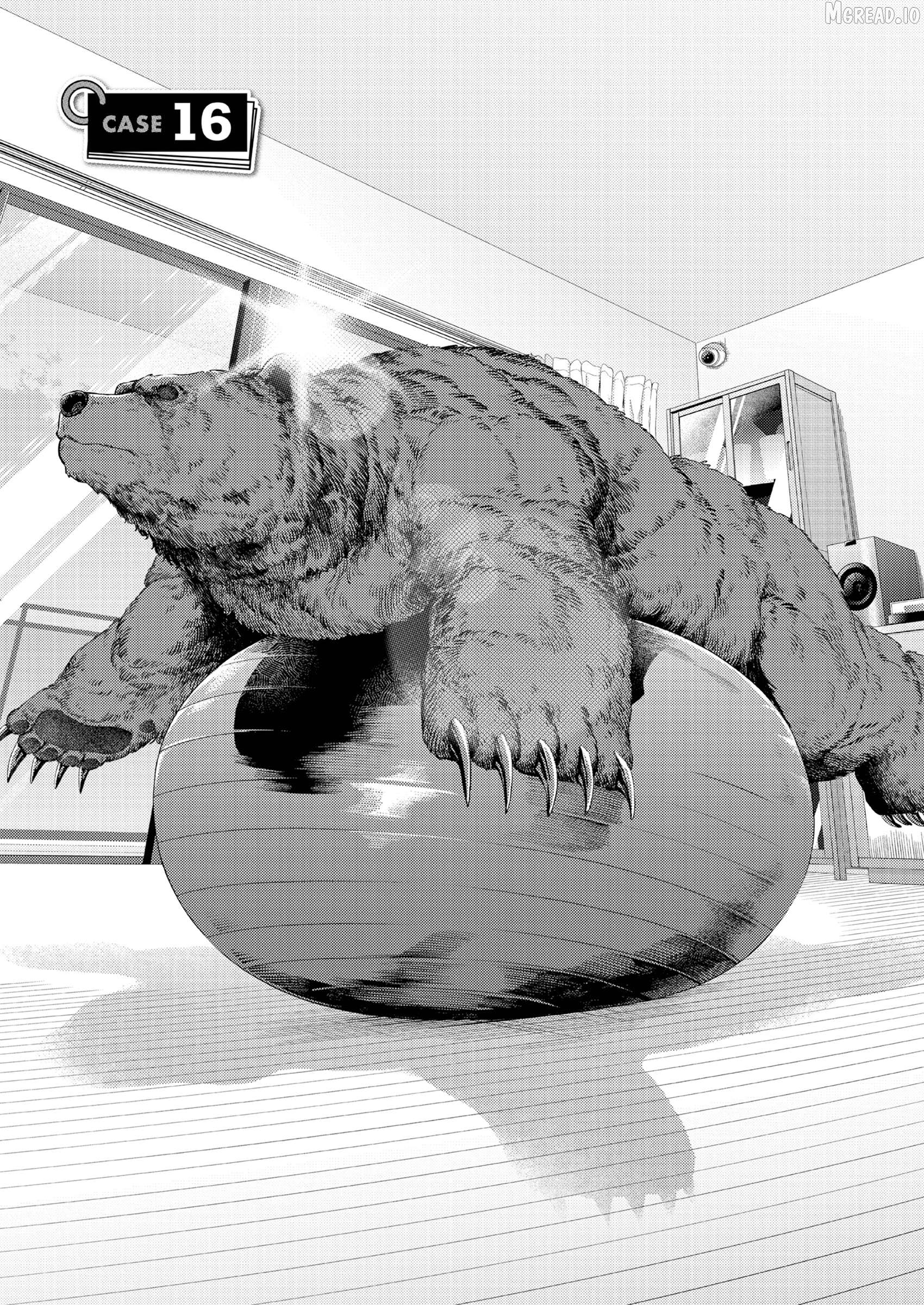 Kuma Gurashi Chapter 16 - page 3