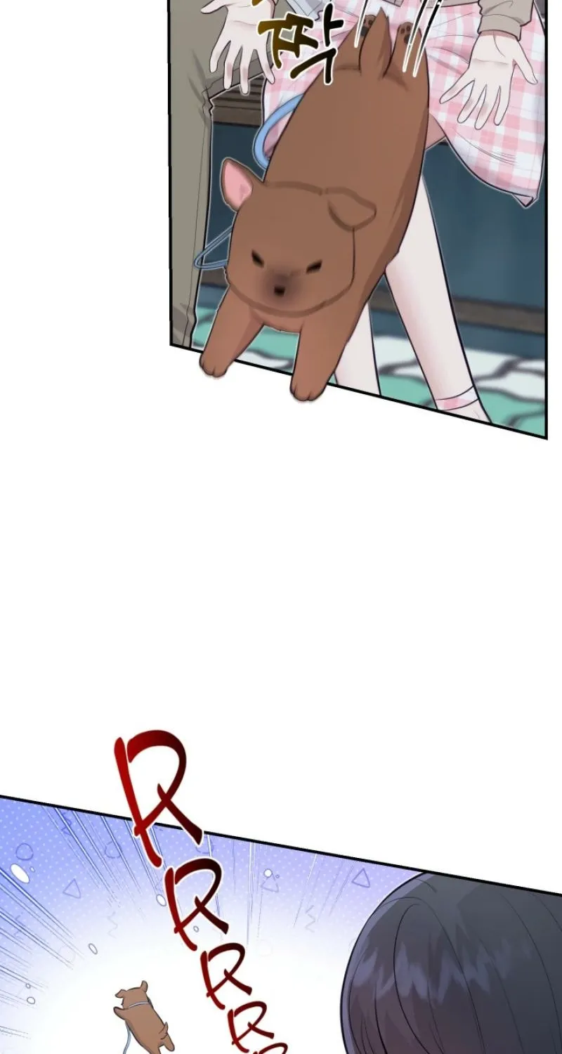 Show me your crooked tooth Chapter 20.5 - page 19