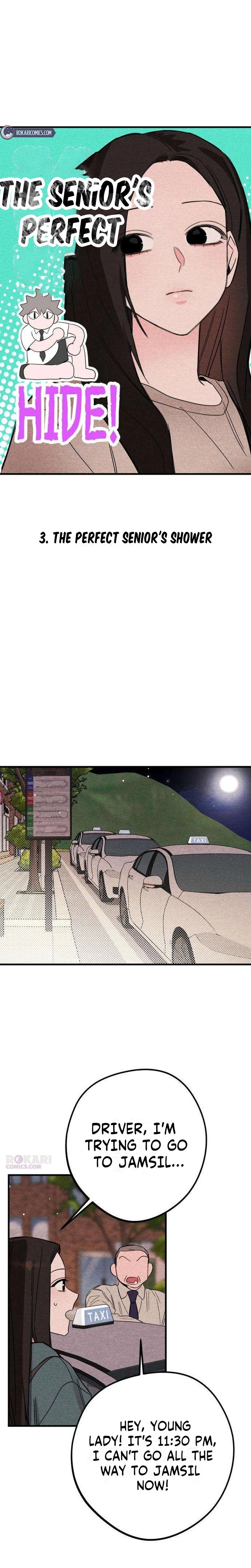 The Perfect Senior's Secret! Chapter 3 - page 4