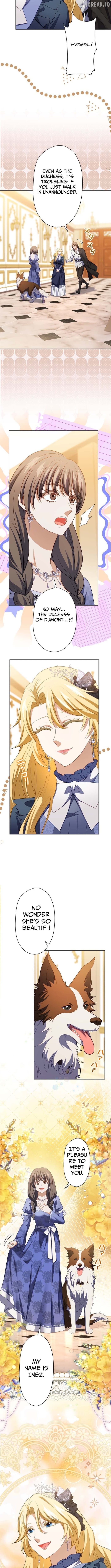 My Husband Caught Me Having an Affair Chapter 16 - page 3