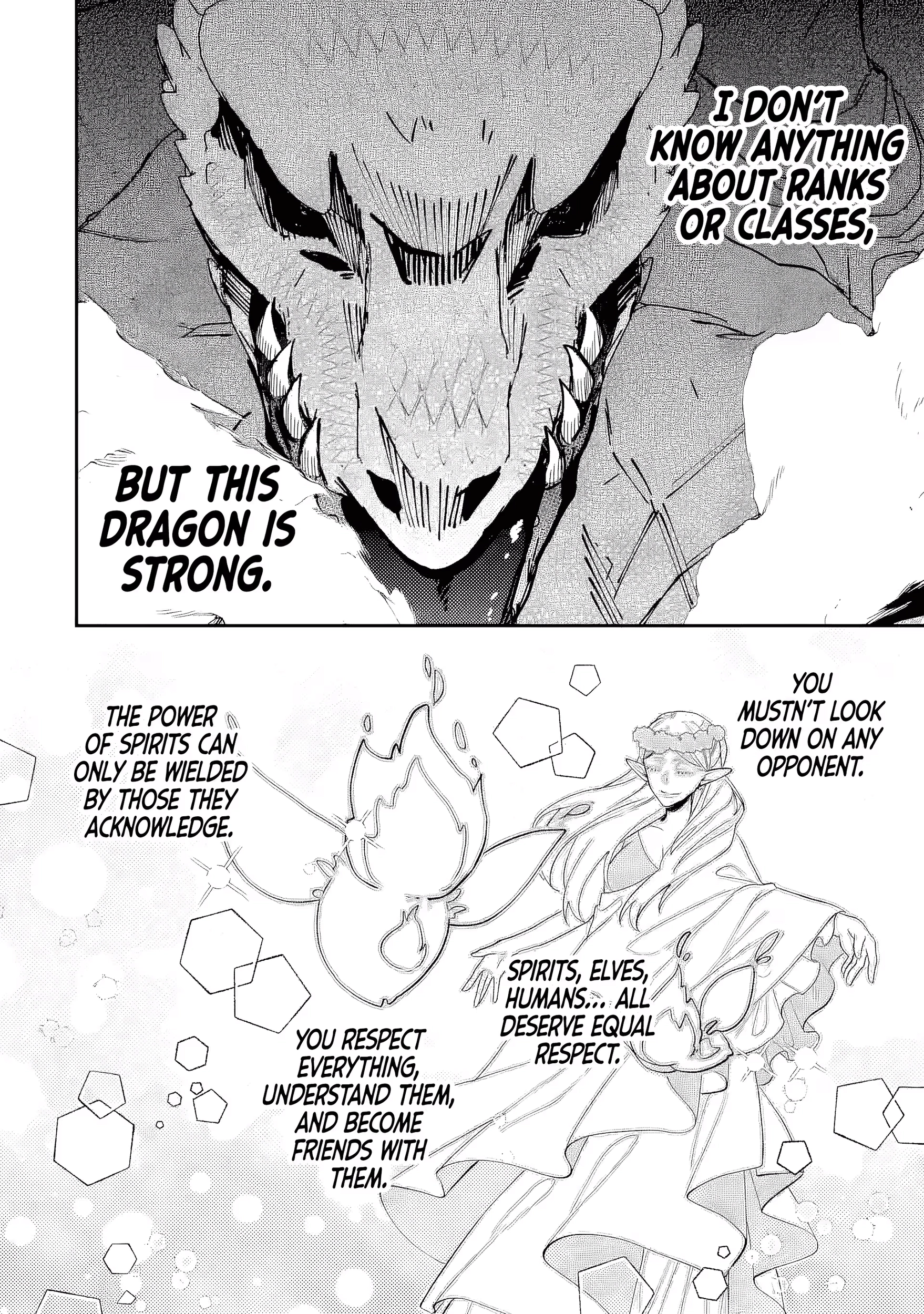 Raised by Elves, I Became Humanity's Only Spirit Mage ~ the Naive Strongest Adventurer Dominates Human Society Without Even Realizing It ~ Chapter 2 - page 17