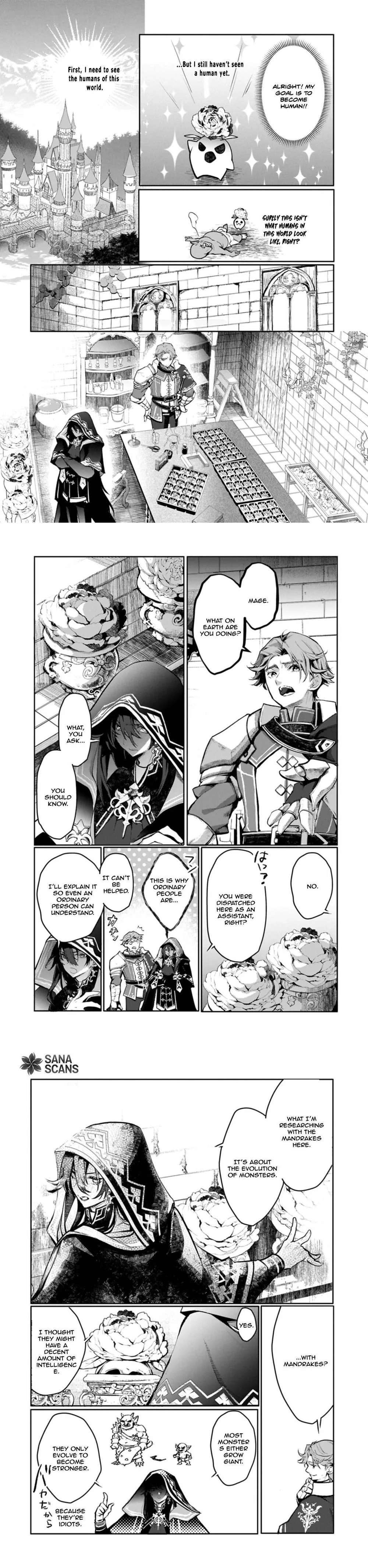 If They Find Out I'm a Mandragora, Am I Done For? Chapter 1 - page 8