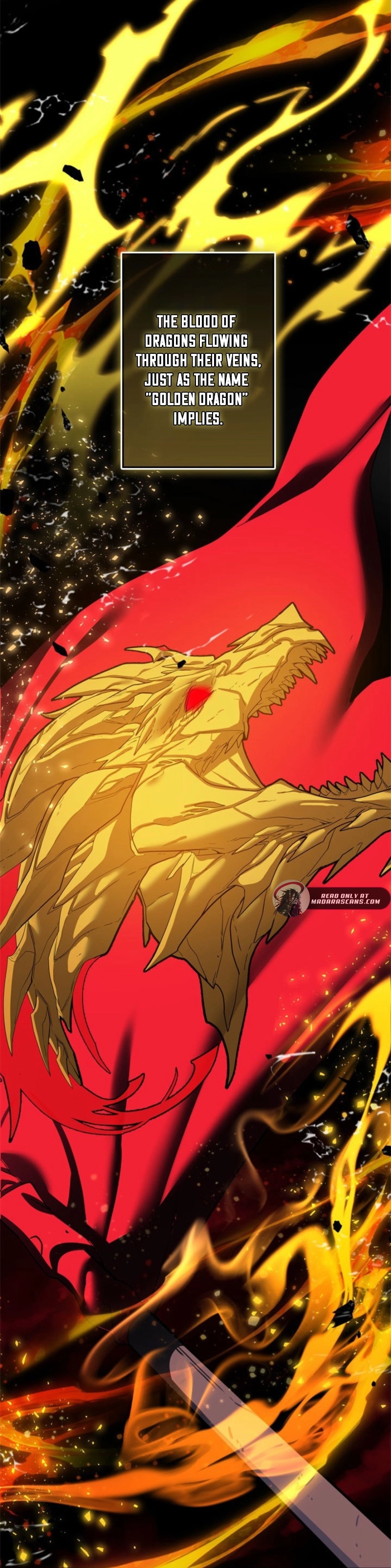 The Sword Emperor Who Surpasses His Previous Life Chapter 1 - page 7