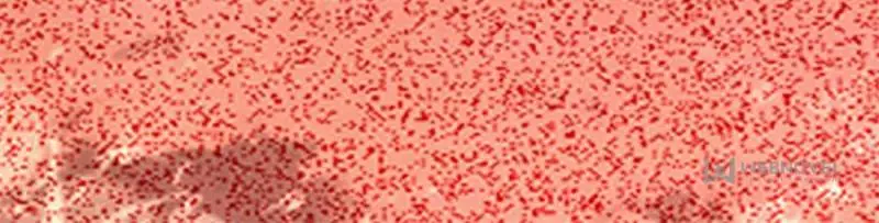 The Goddess Consort Reigns Supreme Chapter 131 - page 14