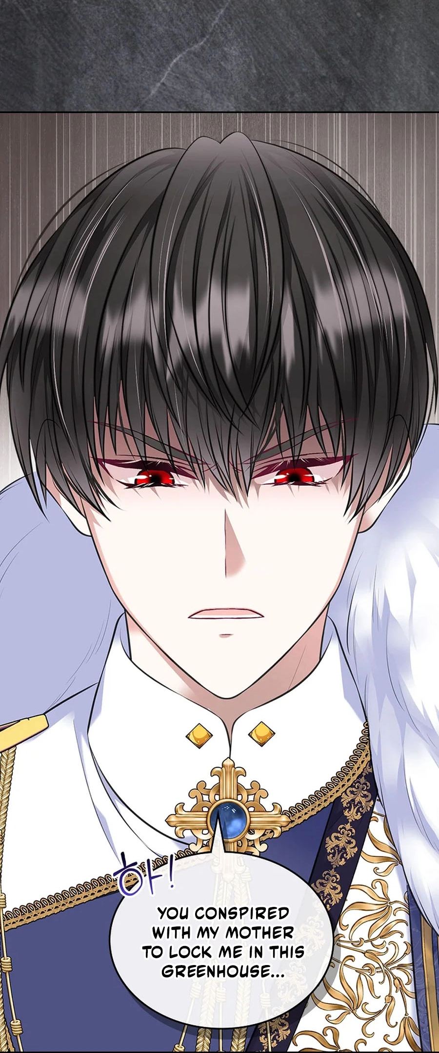 I Will Divorce the Female Lead’s Siscon Brother Chapter 103 - page 9