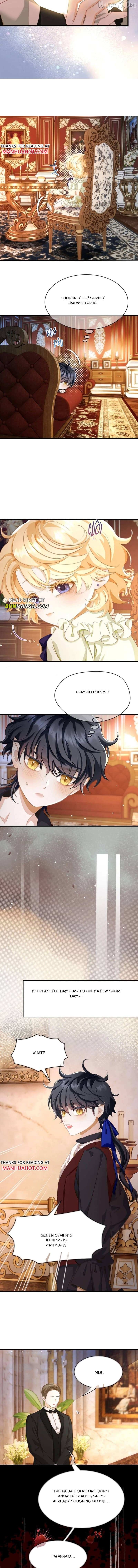 I Was Reborn as His Highness the Prince's Little Evil Dragon Chapter 113 - page 4