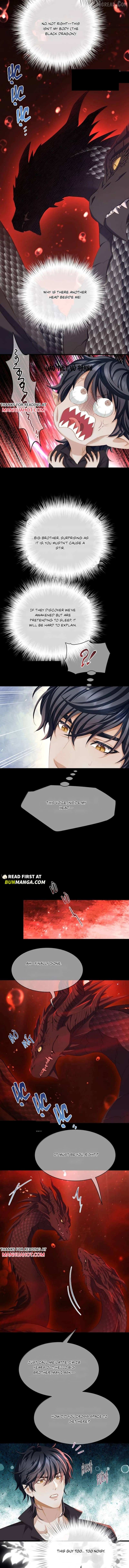 I Was Reborn as His Highness the Prince's Little Evil Dragon Chapter 116 - page 4