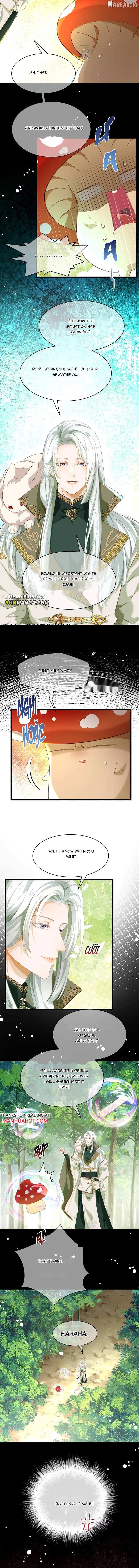 I Was Reborn as His Highness the Prince's Little Evil Dragon Chapter 117 - page 3