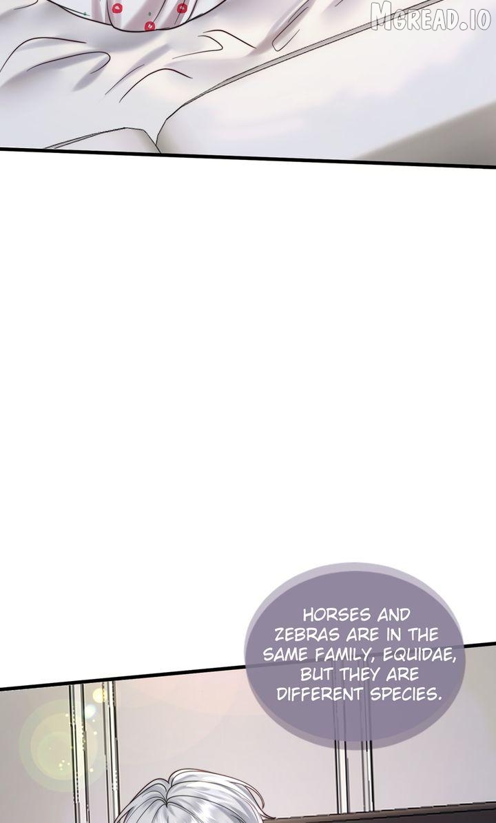 The Billionaire's Replacement Wife Chapter 71 - page 2