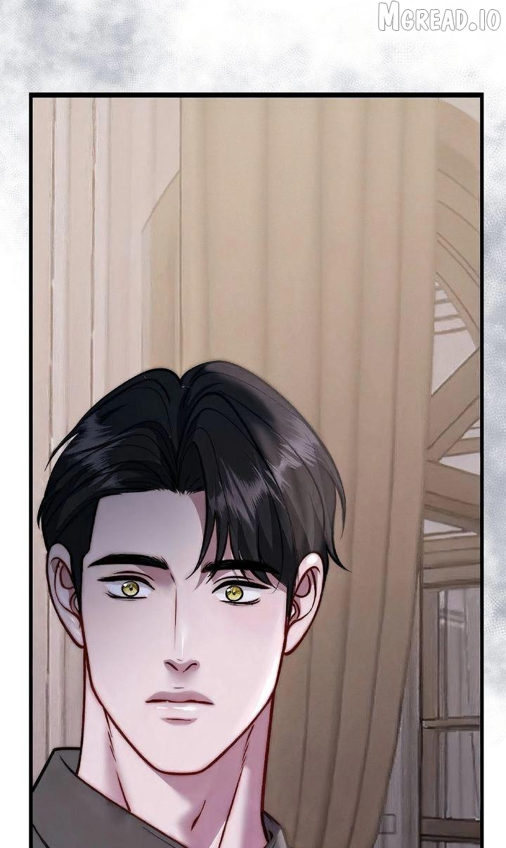 The Billionaire's Replacement Wife Chapter 74 - page 68