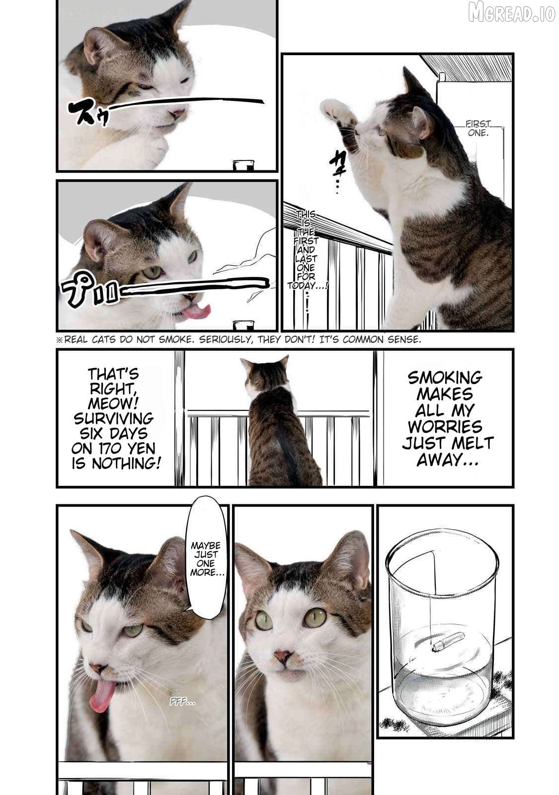 Yani Neko Chapter 141.1 - page 2