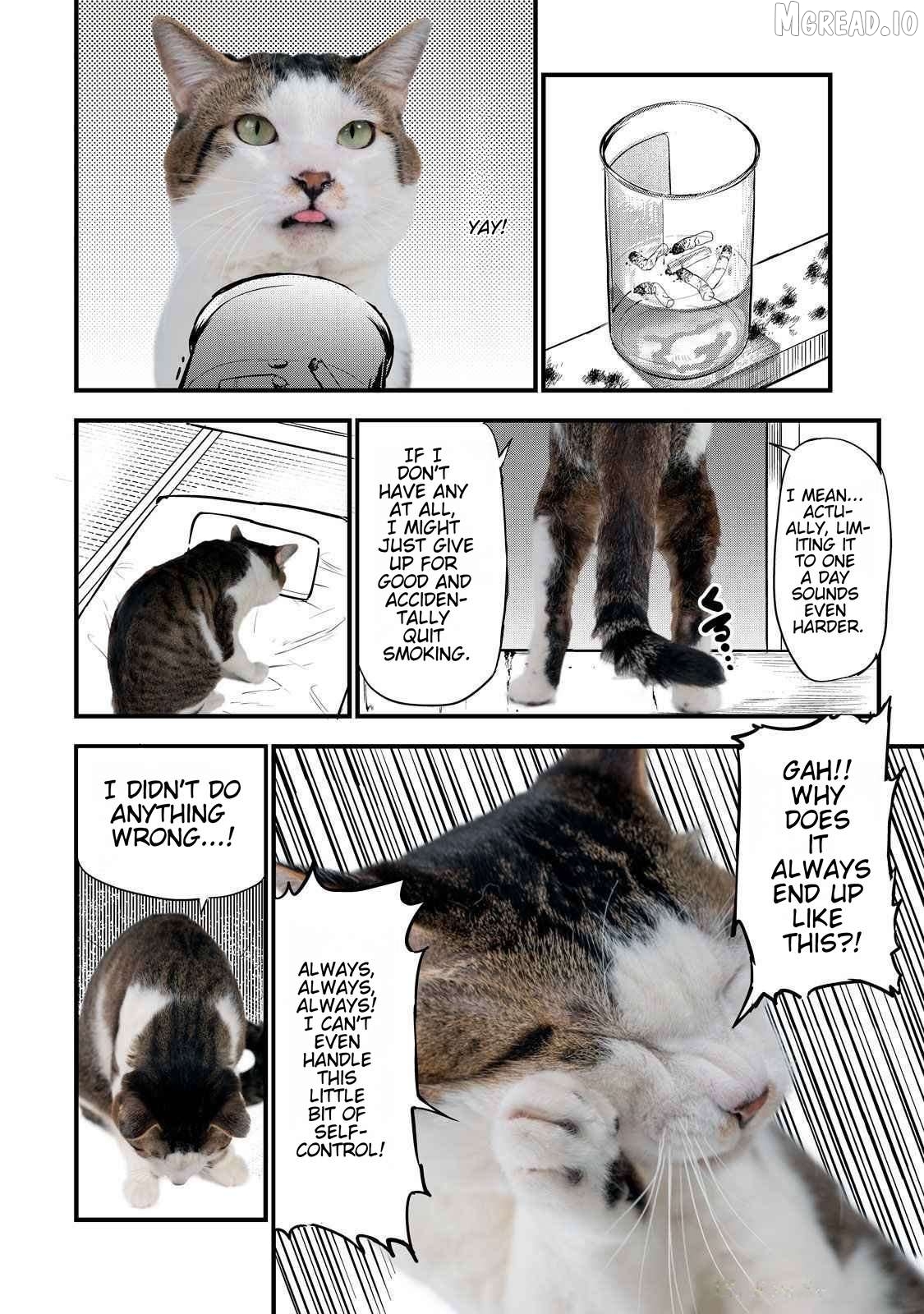 Yani Neko Chapter 141.1 - page 3