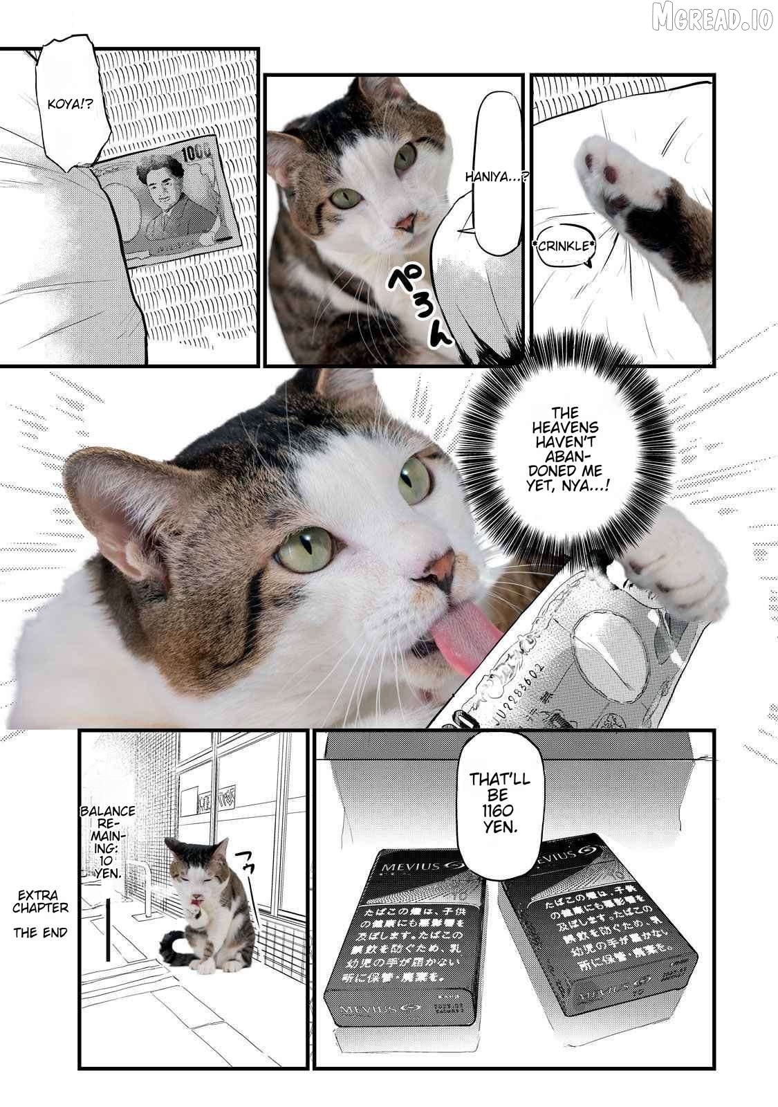 Yani Neko Chapter 141.1 - page 4