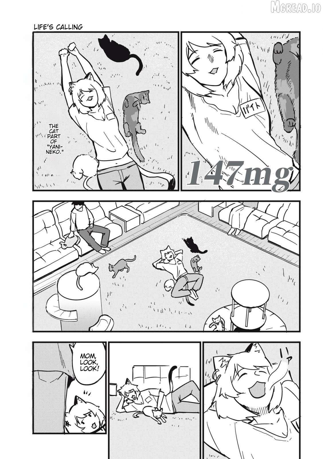 Yani Neko Chapter 147 - page 1
