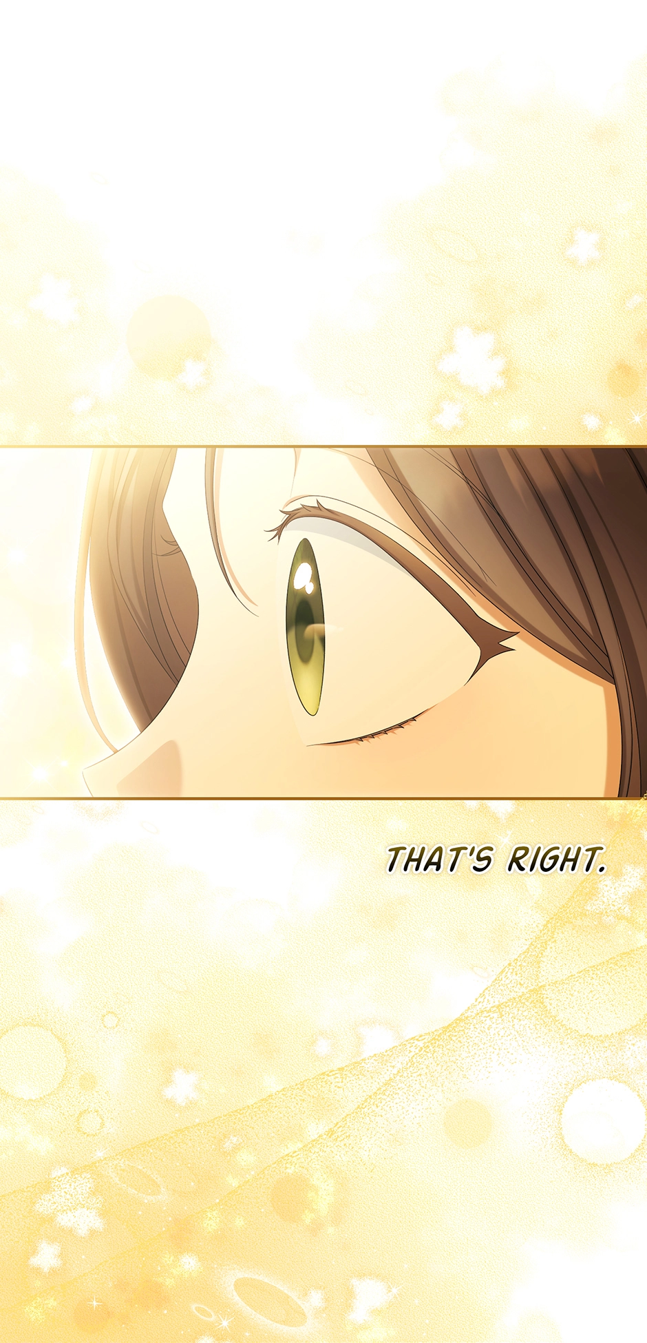 Why Are You Obsessed With Your Fake Wife? Chapter 101 - page 65