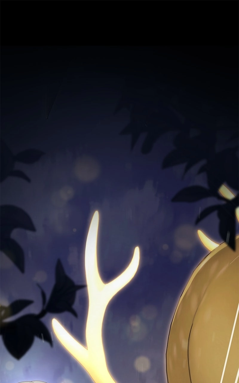 I Was The Acting Empress But I Spent The First Night With Him Chapter 58 - page 1