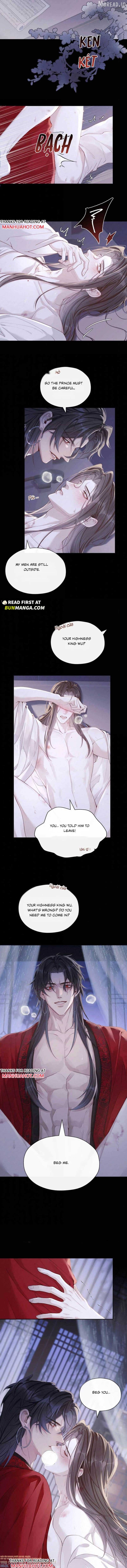 Was His Highness Assassinated Today? Chapter 43 - page 5