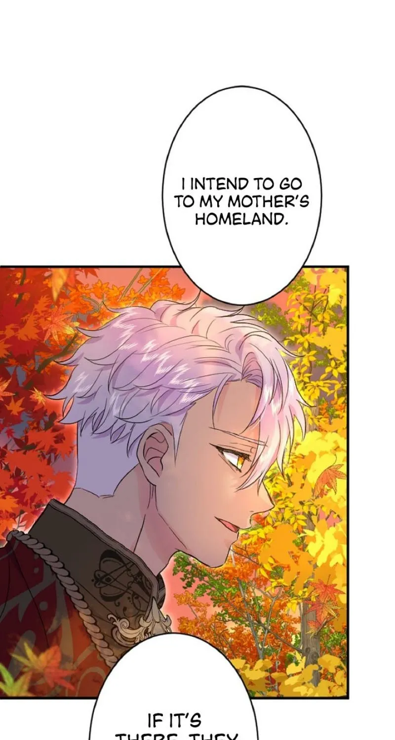 The Forbidden Girl Chapter 71 - page 5