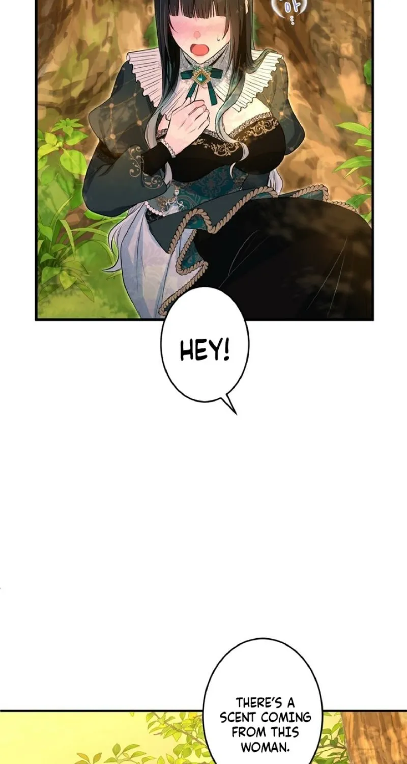 The Forbidden Girl Chapter 76 - page 95