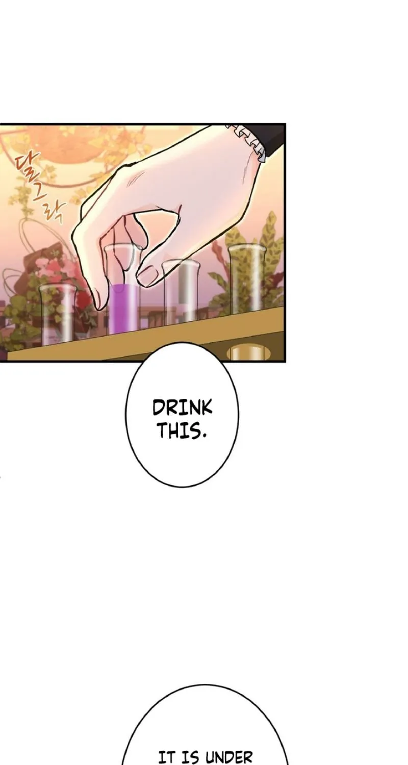 The Forbidden Girl Chapter 77 - page 43